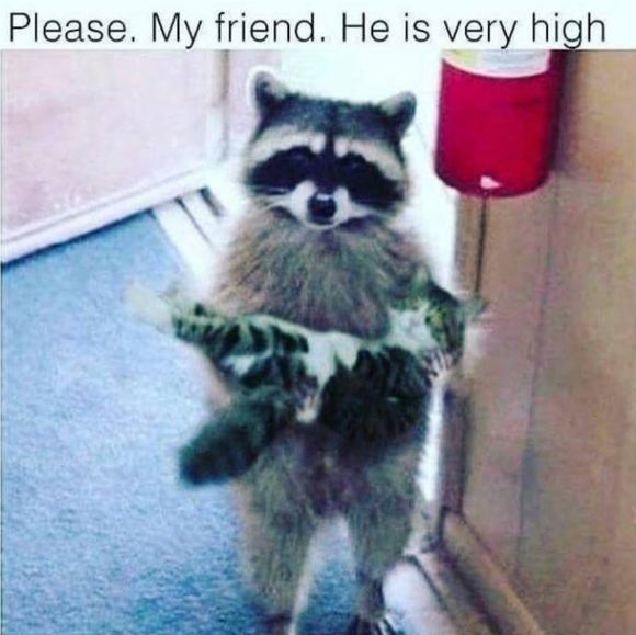 MEMEMMEMEEEEEEEEEEEEEMES!!!! Pt. 1 - Picture 7 of 16